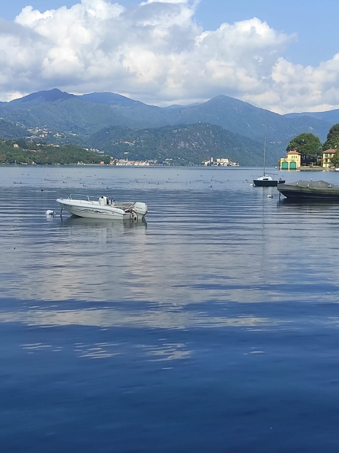 Orta
